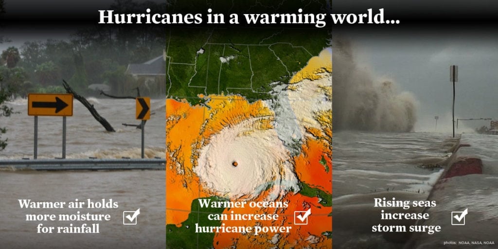 Hurricanes in a warming world