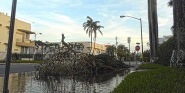 South Beach Miami Florida Hurricane Irma