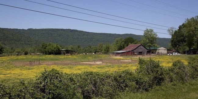 Southern U.S. climate change