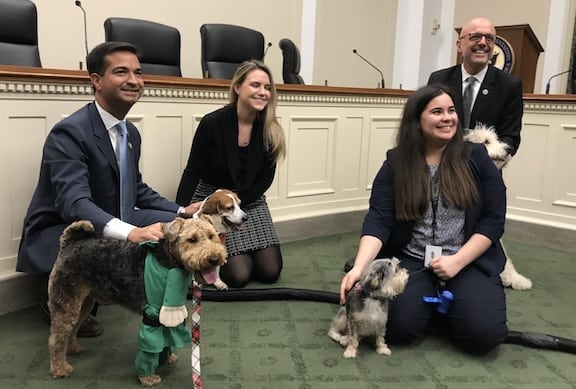 Bipawtisan howliday pup party on the hill