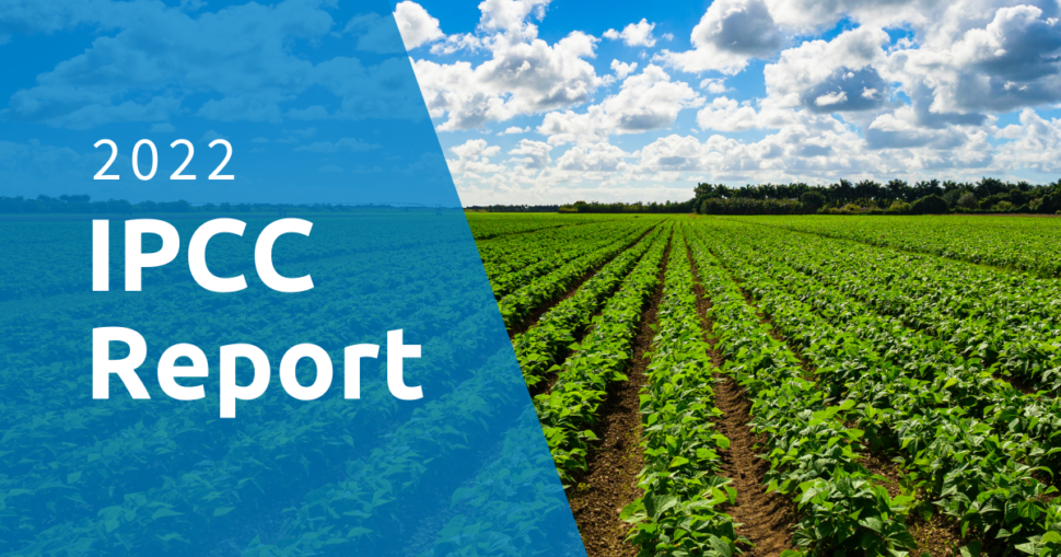 What the latest IPCC report says about carbon fee & dividend