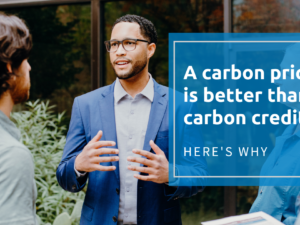 A carbon price is better than carbon credits
