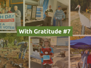 With Gratitude #7: A CCL blog series