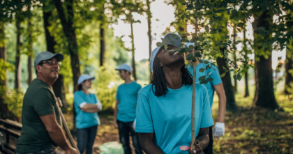 Why are trees important to the environment?