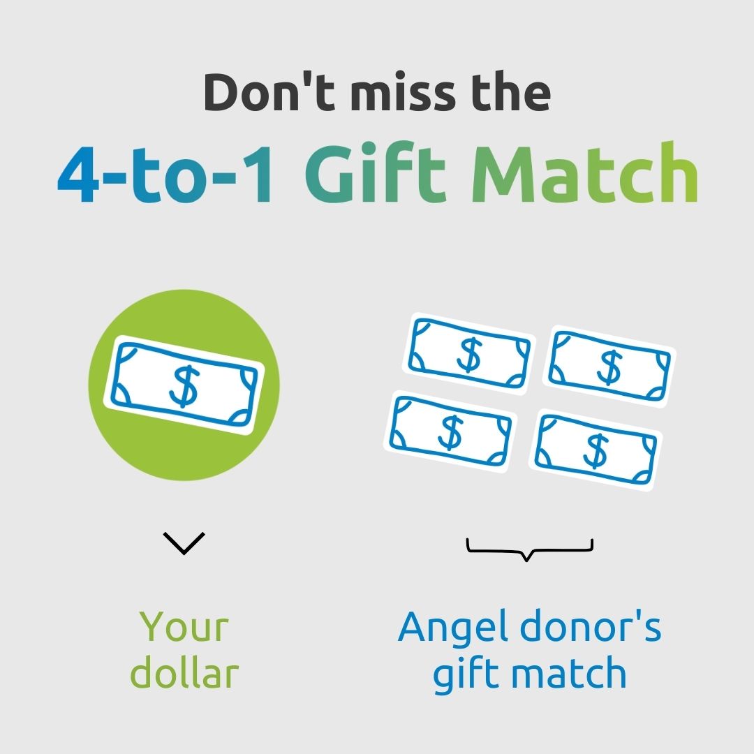 Don't miss the 4-to-1 gift match.