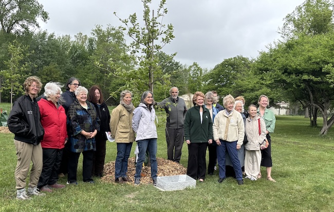 A group of people stand shoulder to shoulder in a grassy area, surrounding a newly planted tree. Mature trees and blue sky are in the background.